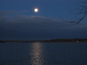Morning Moon Shining